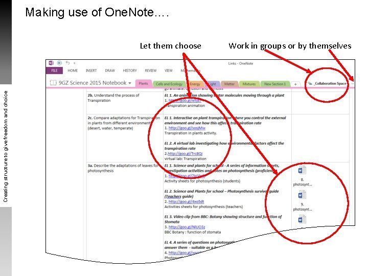 Making use of One. Note…. Creating structure to give freedom and choice Let them Making use of One. Note…. Creating structure to give freedom and choice Let them