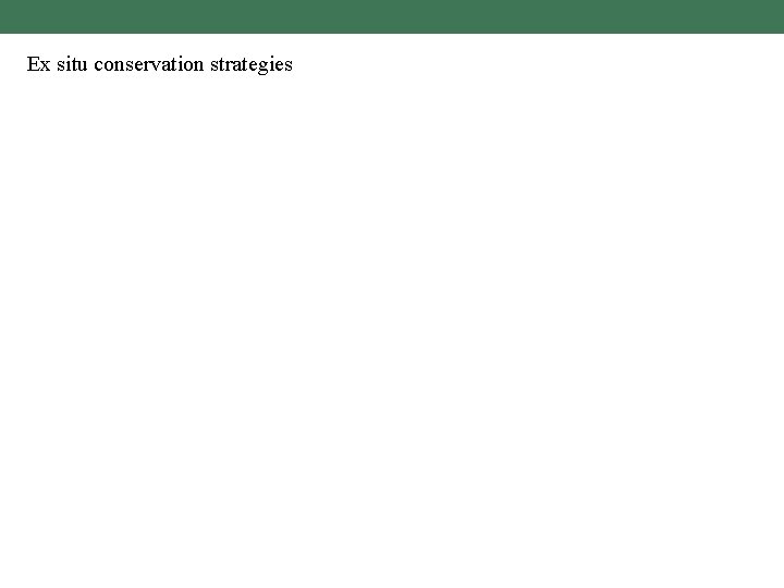 Ex situ conservation strategies 