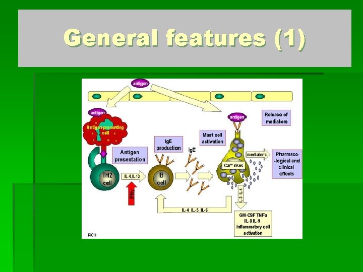 General features (1) 