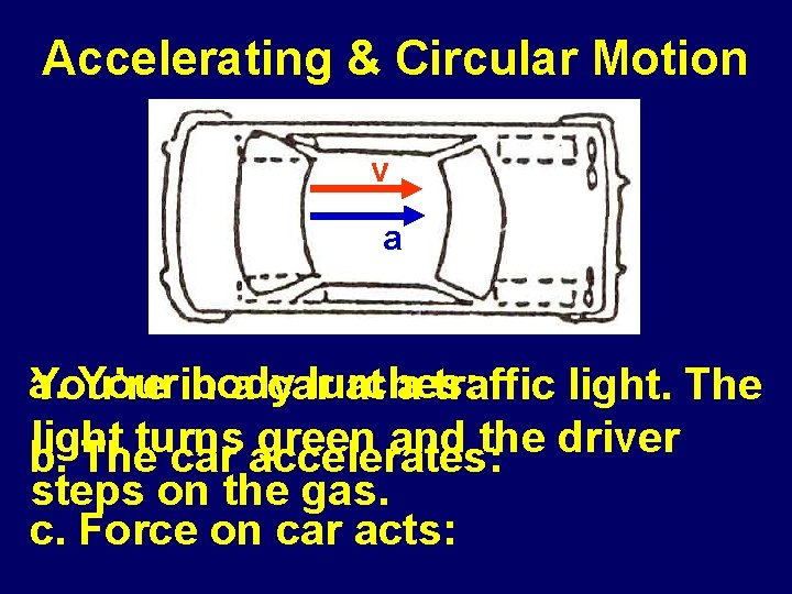 Accelerating & Circular Motion v a a. Yourin body lurches: backward You’re a car