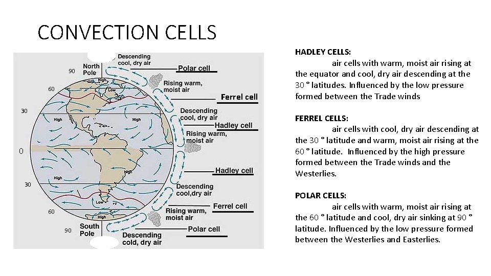 CONVECTION CELLS 90 60 Ferrel cell 30 HADLEY CELLS: air cells with warm, moist