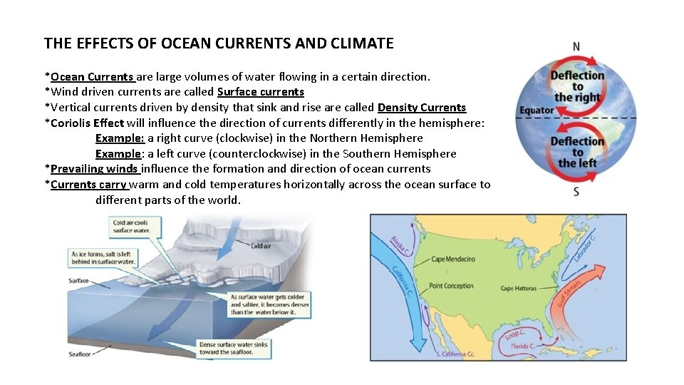 THE EFFECTS OF OCEAN CURRENTS AND CLIMATE *Ocean Currents are large volumes of water