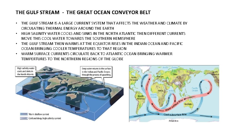 THE GULF STREAM - THE GREAT OCEAN CONVEYOR BELT • THE GULF STREAM IS