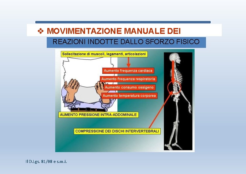  MOVIMENTAZIONE MANUALE DEI CARICHI REAZIONI INDOTTE DALLO SFORZO FISICO Il D. Lgs. 81/08