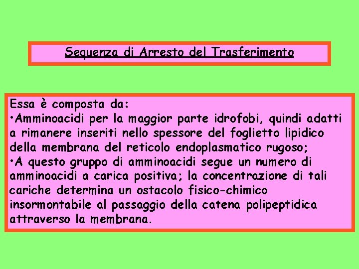 Sequenza di Arresto del Trasferimento Essa è composta da: • Amminoacidi per la maggior