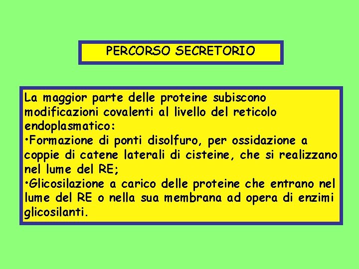 PERCORSO SECRETORIO La maggior parte delle proteine subiscono modificazioni covalenti al livello del reticolo