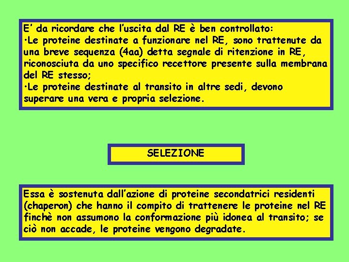 E’ da ricordare che l’uscita dal RE è ben controllato: • Le proteine destinate