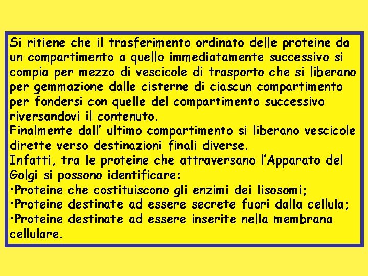 Si ritiene che il trasferimento ordinato delle proteine da un compartimento a quello immediatamente