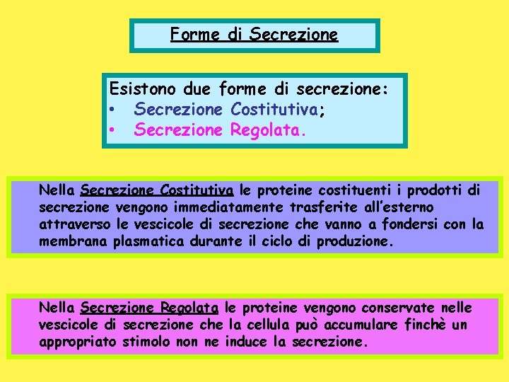 Forme di Secrezione Esistono due forme di secrezione: • Secrezione Costitutiva; • Secrezione Regolata.