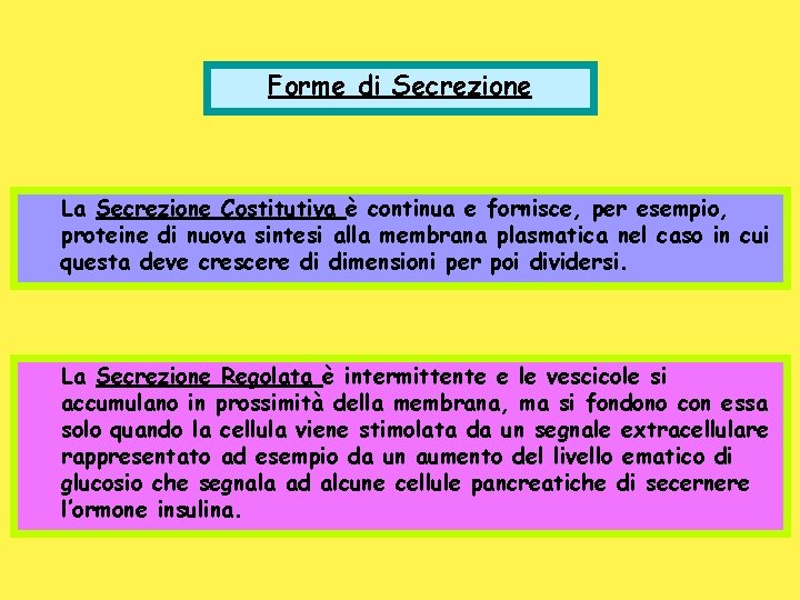 Forme di Secrezione La Secrezione Costitutiva è continua e fornisce, per esempio, proteine di