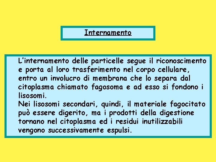 Internamento L’internamento delle particelle segue il riconoscimento e porta al loro trasferimento nel corpo