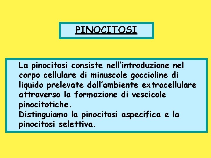 PINOCITOSI La pinocitosi consiste nell’introduzione nel corpo cellulare di minuscole goccioline di liquido prelevate