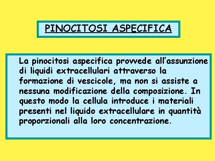 PINOCITOSI ASPECIFICA La pinocitosi aspecifica provvede all’assunzione di liquidi extracellulari attraverso la formazione di