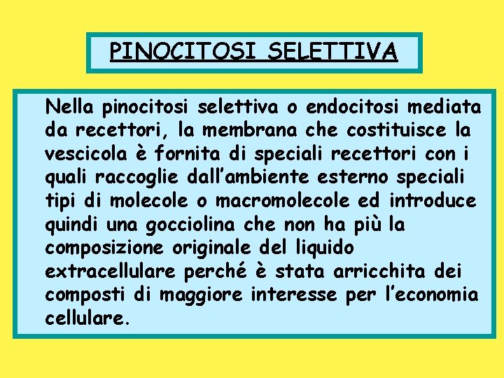 PINOCITOSI SELETTIVA Nella pinocitosi selettiva o endocitosi mediata da recettori, la membrana che costituisce