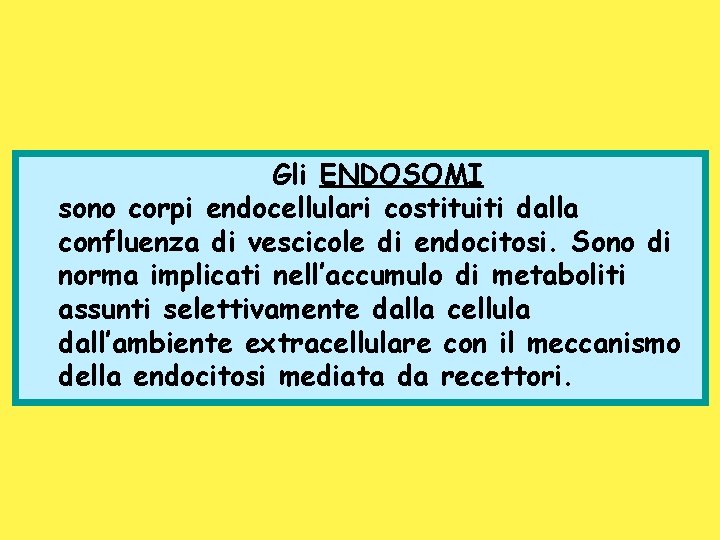 Gli ENDOSOMI sono corpi endocellulari costituiti dalla confluenza di vescicole di endocitosi. Sono di