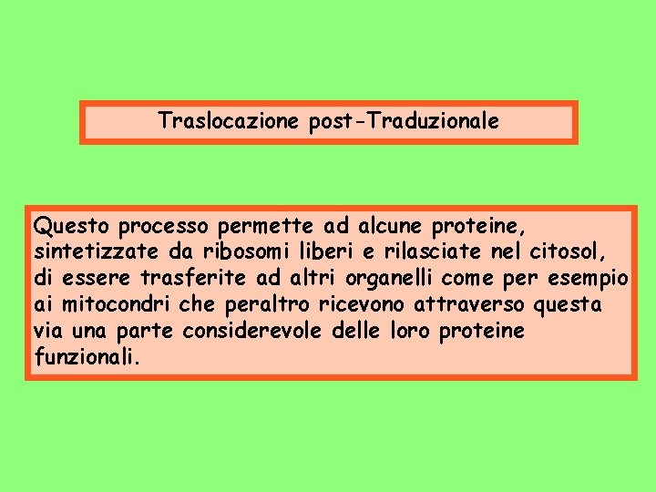 Traslocazione post-Traduzionale Questo processo permette ad alcune proteine, sintetizzate da ribosomi liberi e rilasciate