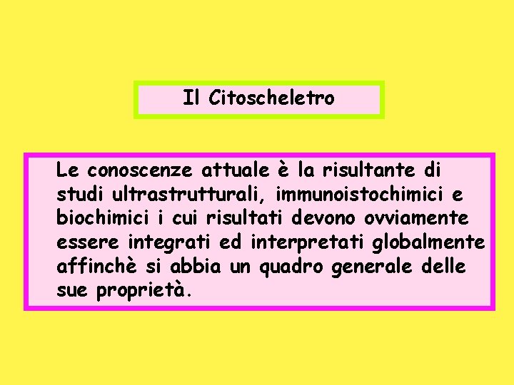 Il Citoscheletro Le conoscenze attuale è la risultante di studi ultrastrutturali, immunoistochimici e biochimici