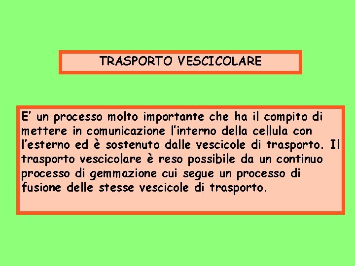 TRASPORTO VESCICOLARE E’ un processo molto importante che ha il compito di mettere in