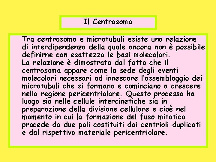 Il Centrosoma Tra centrosoma e microtubuli esiste una relazione di interdipendenza della quale ancora