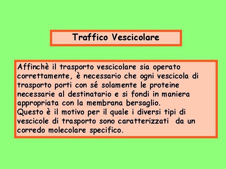 Traffico Vescicolare Affinchè il trasporto vescicolare sia operato correttamente, è necessario che ogni vescicola