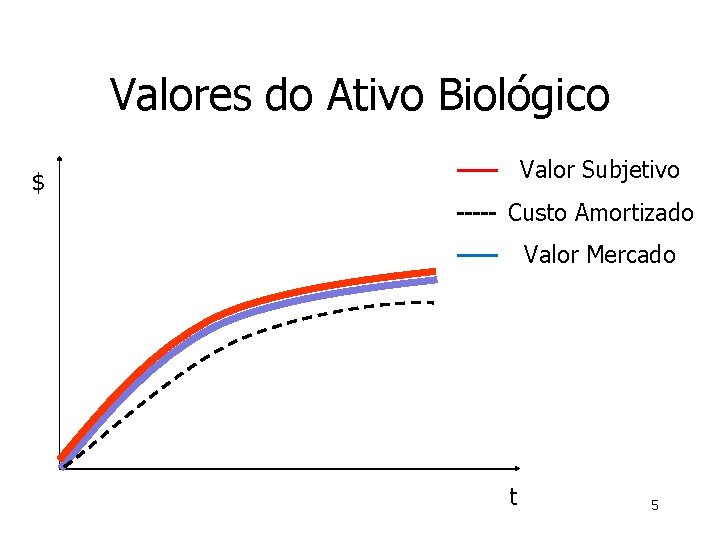 Valores do Ativo Biológico Valor Subjetivo $ Custo Amortizado Valor Mercado t 5 Valores do Ativo Biológico Valor Subjetivo $ Custo Amortizado Valor Mercado t 5