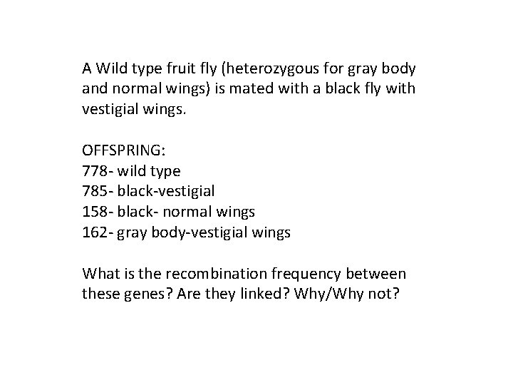 A Wild type fruit fly (heterozygous for gray body and normal wings) is mated A Wild type fruit fly (heterozygous for gray body and normal wings) is mated