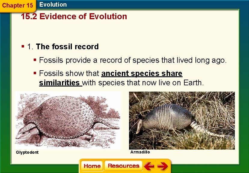 Chapter 15 Evolution 15. 2 Evidence of Evolution § 1. The fossil record §