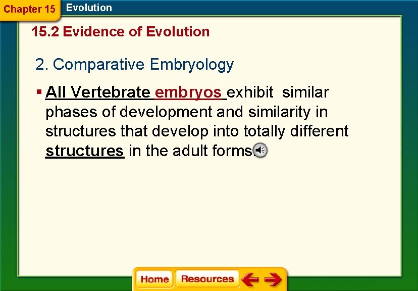 Chapter 15 Evolution 15. 2 Evidence of Evolution 2. Comparative Embryology § All Vertebrate