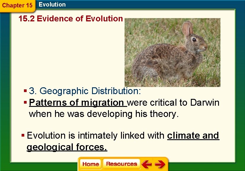 Chapter 15 Evolution 15. 2 Evidence of Evolution § 3. Geographic Distribution: § Patterns