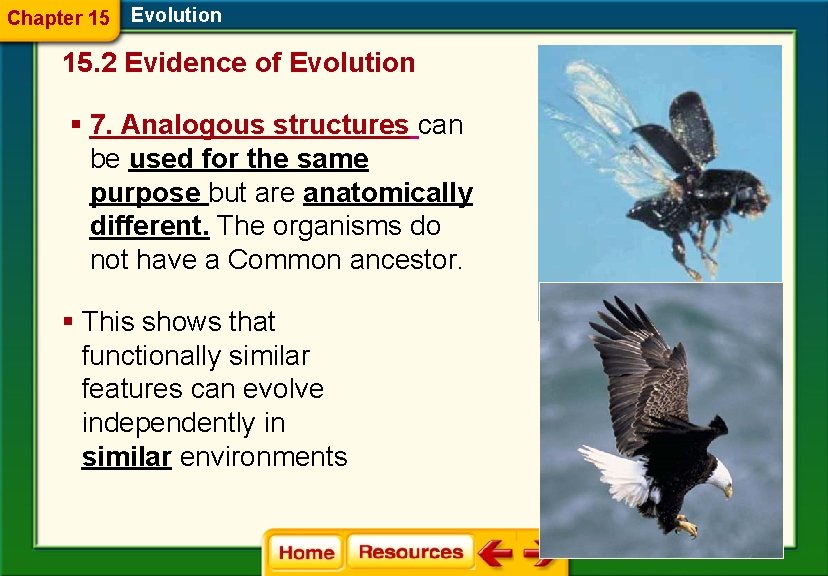 Chapter 15 Evolution 15. 2 Evidence of Evolution § 7. Analogous structures can be