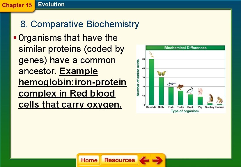 Chapter 15 Evolution 8. Comparative Biochemistry § 0 rganisms that have the similar proteins