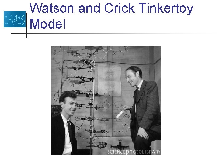 Watson and Crick Tinkertoy Model 