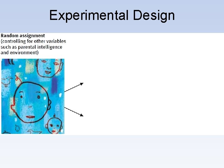 Experimental Design 