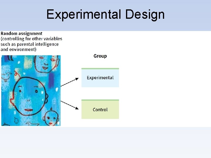 Experimental Design 