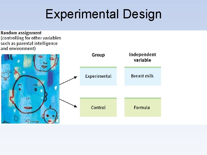 Experimental Design 