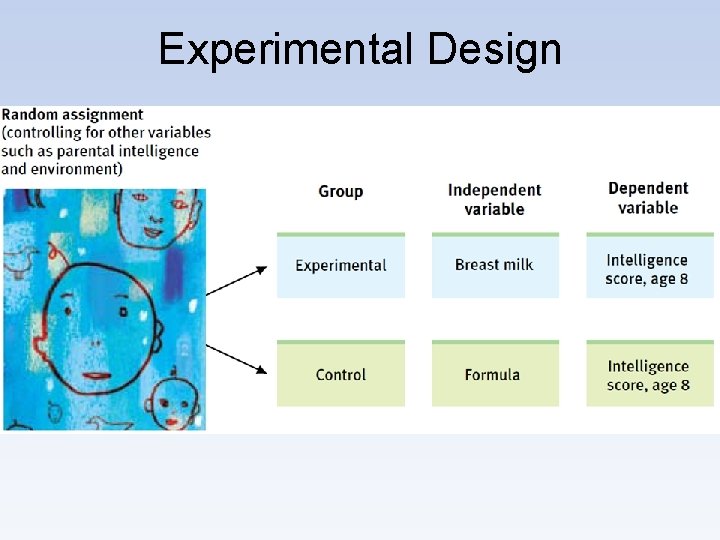 Experimental Design 