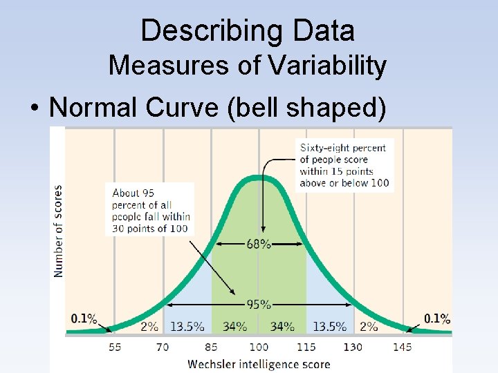 Describing Data Measures of Variability • Normal Curve (bell shaped) 