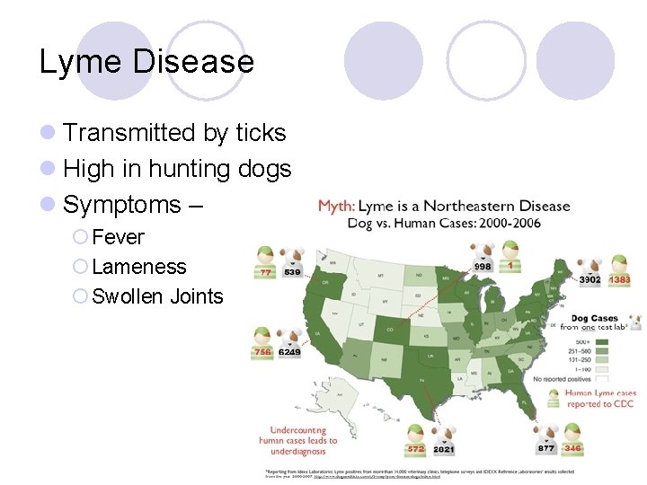 Lyme Disease l Transmitted by ticks l High in hunting dogs l Symptoms –