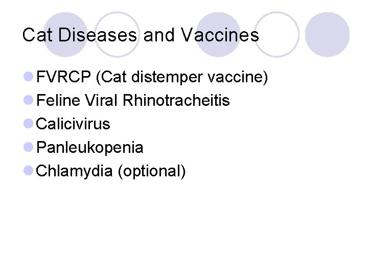 Cat Diseases and Vaccines l FVRCP (Cat distemper vaccine) l Feline Viral Rhinotracheitis l