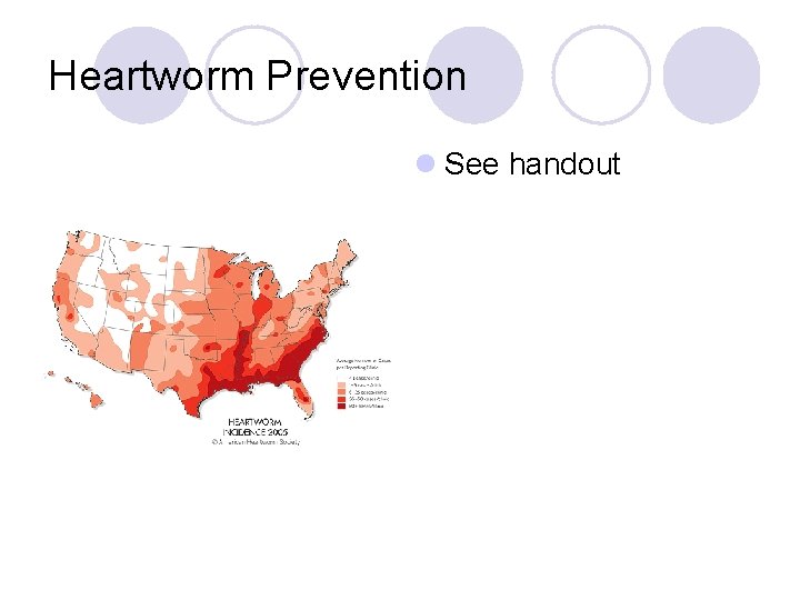 Heartworm Prevention l See handout 