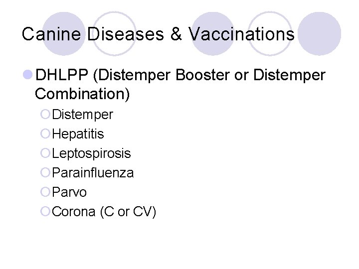 Canine Diseases & Vaccinations l DHLPP (Distemper Booster or Distemper Combination) ¡Distemper ¡Hepatitis ¡Leptospirosis