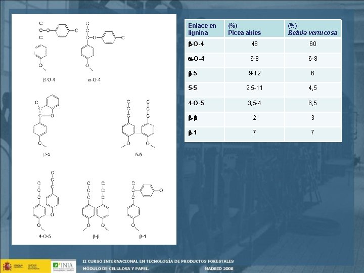 Enlace en lignina (%) Picea abies (%) Betula verrucosa -O-4 48 60 -O-4 6