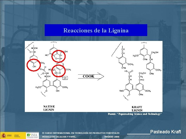 Reacciones de la Lignina Fuente: “Papermaking Science and Technology” _____Pasteado Kraft 