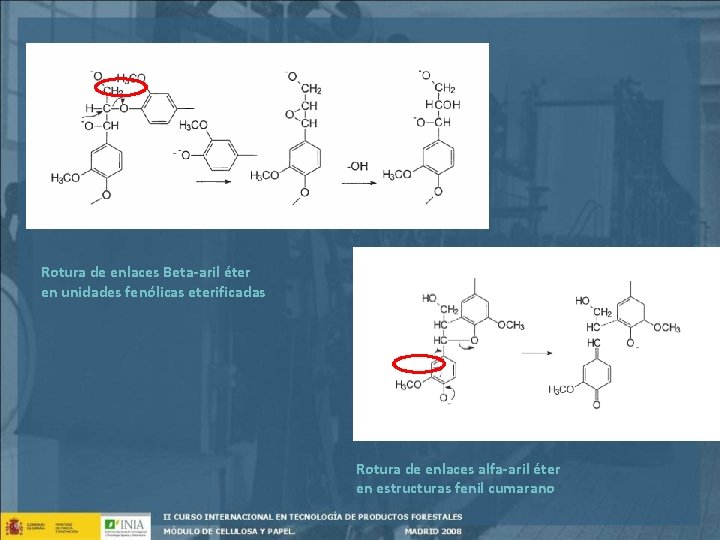Rotura de enlaces Beta-aril éter en unidades fenólicas eterificadas Rotura de enlaces alfa-aril éter