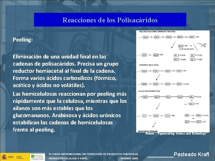 Reacciones de los Polisacáridos Peeling: Eliminación de una unidad final en las cadenas de