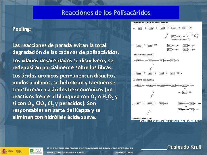 Reacciones de los Polisacáridos Peeling: Las reacciones de parada evitan la total degradación de