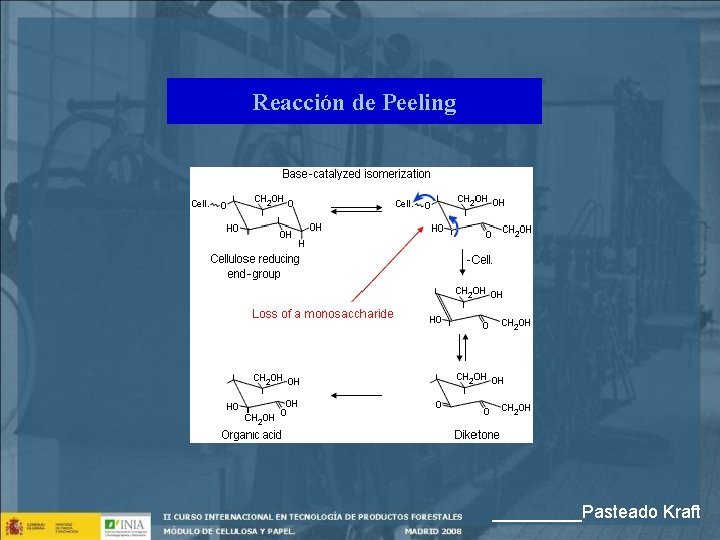 Reacción de Peeling _____Pasteado Kraft 