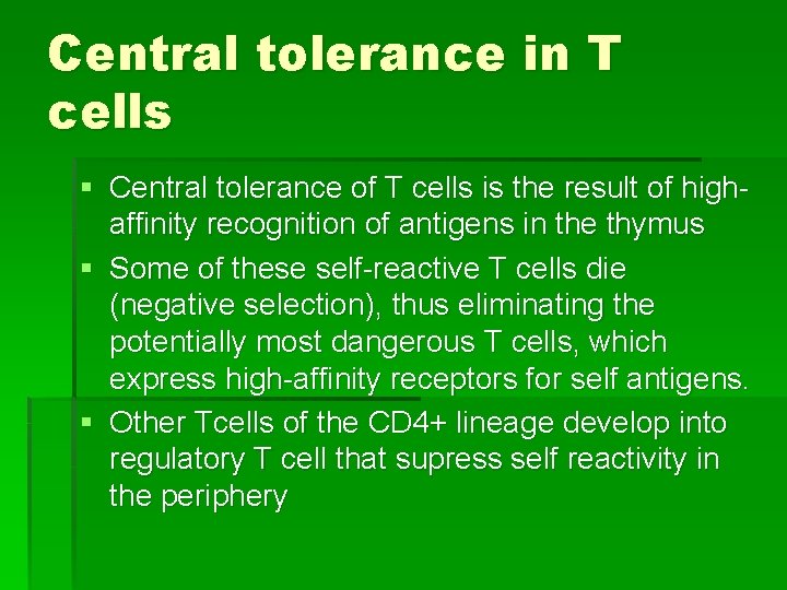 Central tolerance in T cells § Central tolerance of T cells is the result
