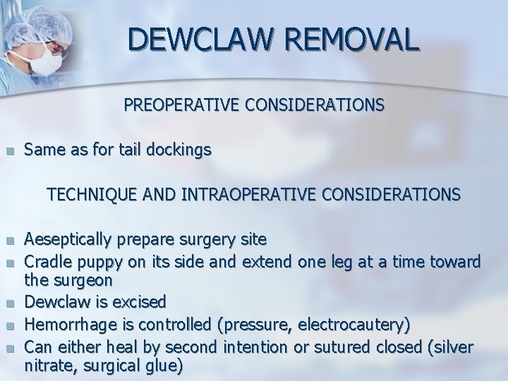 DEWCLAW REMOVAL PREOPERATIVE CONSIDERATIONS n Same as for tail dockings TECHNIQUE AND INTRAOPERATIVE CONSIDERATIONS DEWCLAW REMOVAL PREOPERATIVE CONSIDERATIONS n Same as for tail dockings TECHNIQUE AND INTRAOPERATIVE CONSIDERATIONS