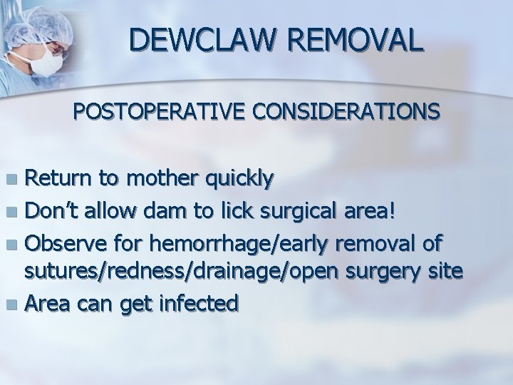 DEWCLAW REMOVAL POSTOPERATIVE CONSIDERATIONS Return to mother quickly n Don’t allow dam to lick DEWCLAW REMOVAL POSTOPERATIVE CONSIDERATIONS Return to mother quickly n Don’t allow dam to lick